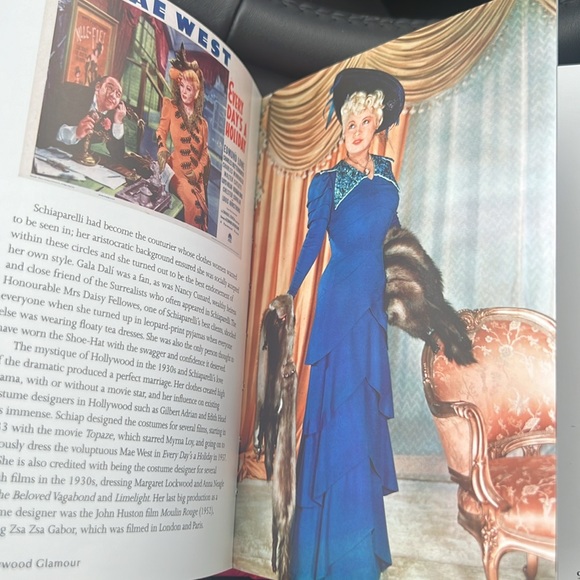 NWT Little Guide to Style Schiaparelli - Picture 4 of 6